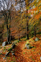 Autumn is my favourite time of the year