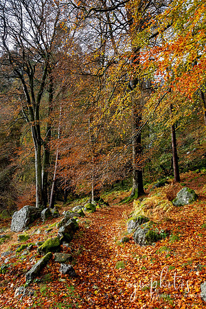 Autumn is my favourite time of the year