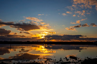 Reflections